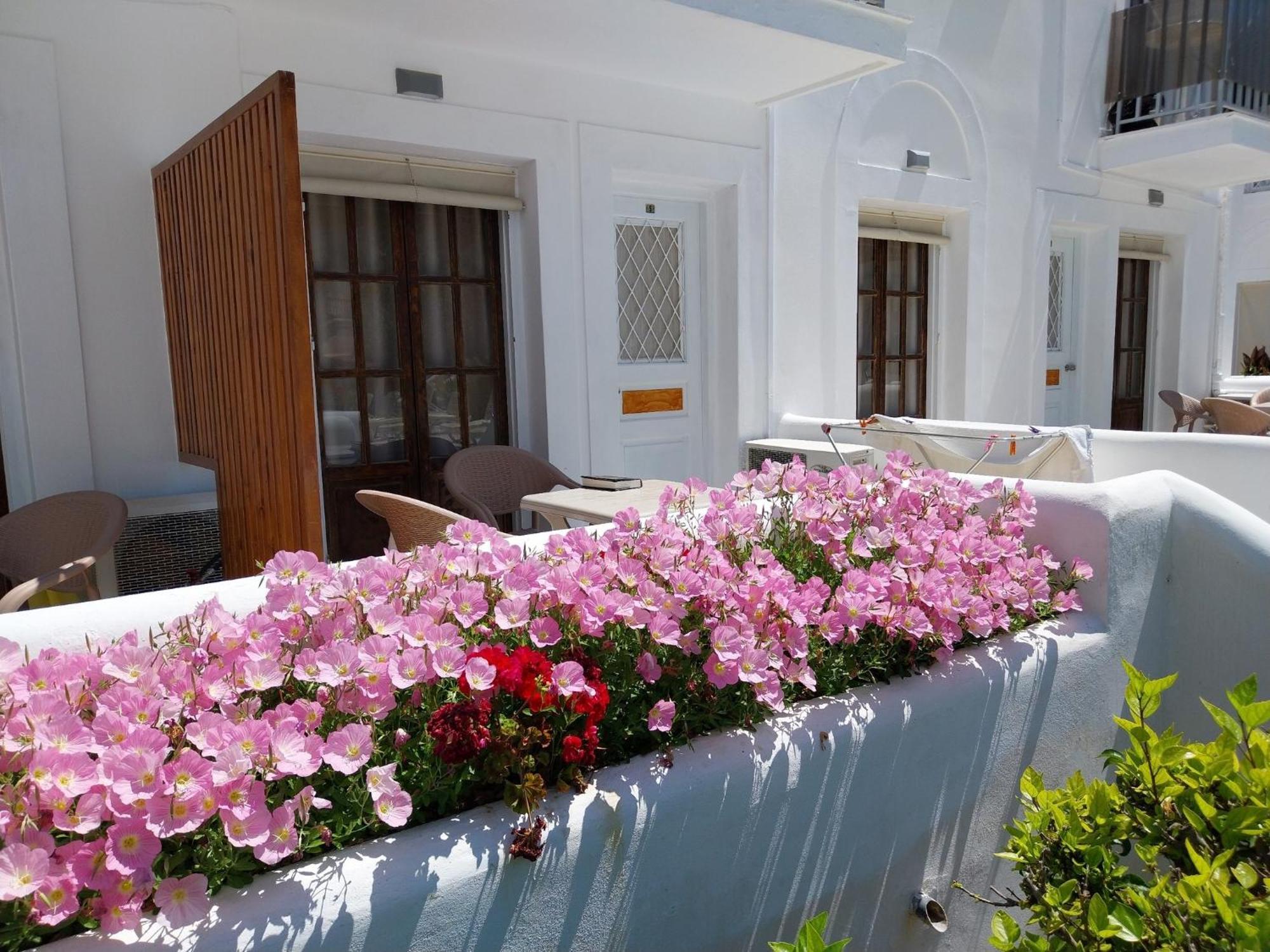 Katerina Apartments Kalymnos Town Bagian luar foto
